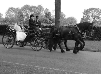 A Perfect Picture of the Bride and Groom in Black and White